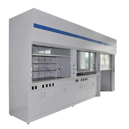 Walk-In Lab Fume Hood